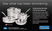 Viking Ad Campaign